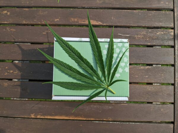 CBD und Hanfprodukte